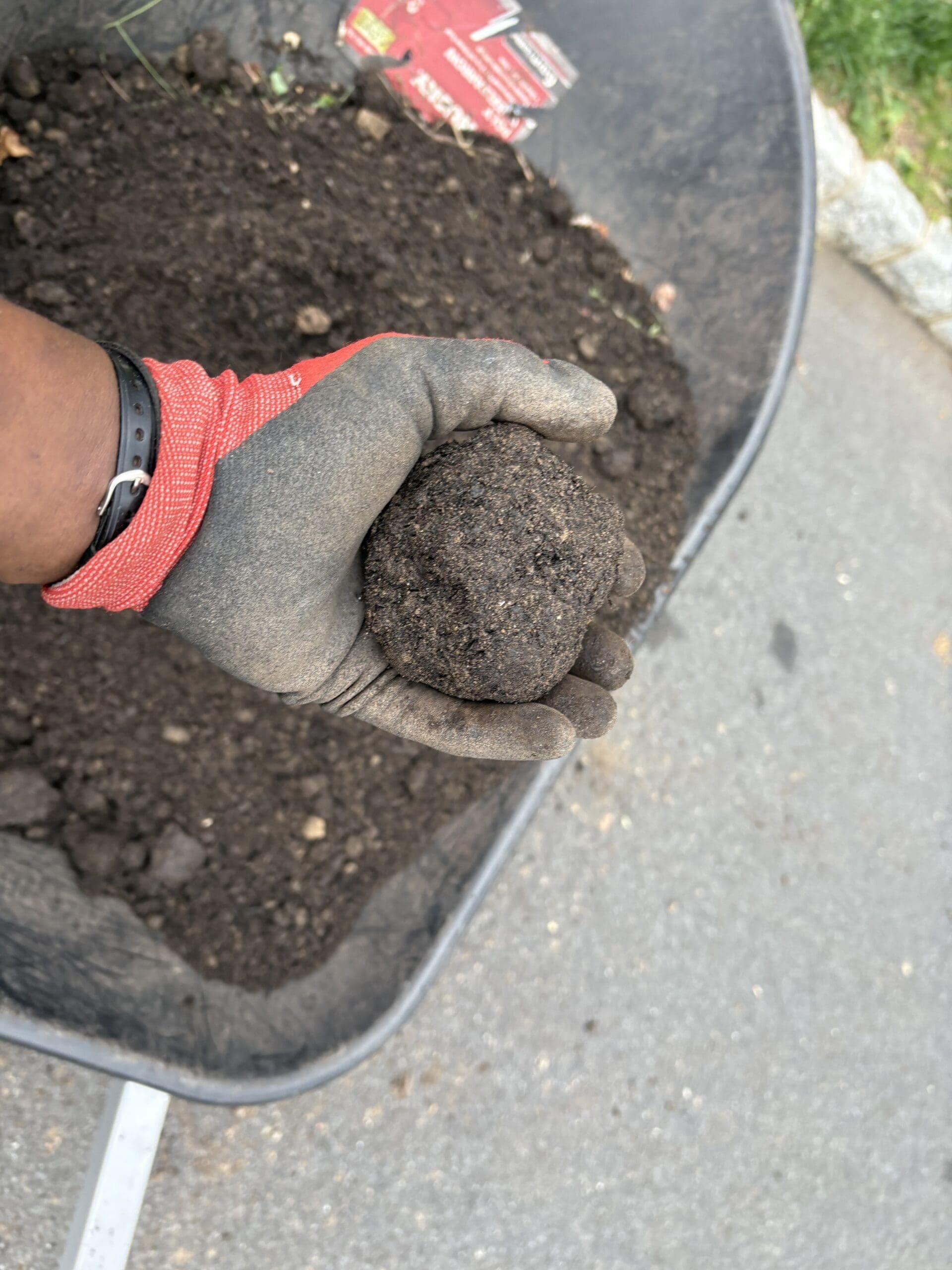 Healthy Lawn Fertilizer