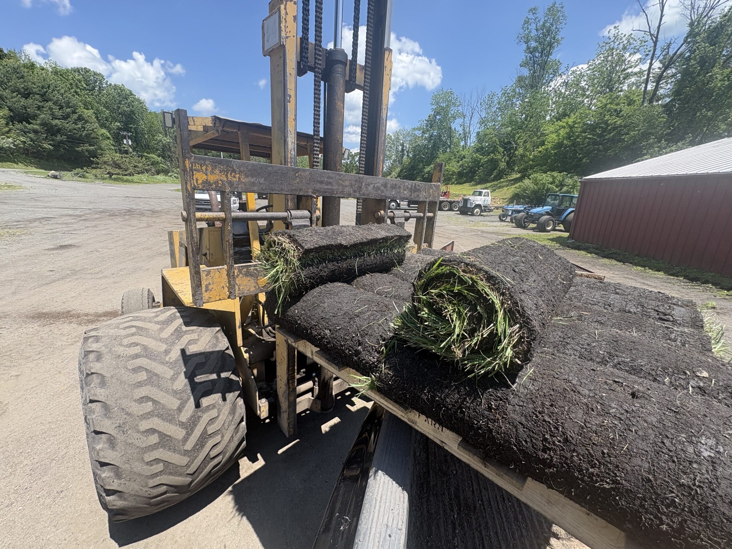 Turf Building