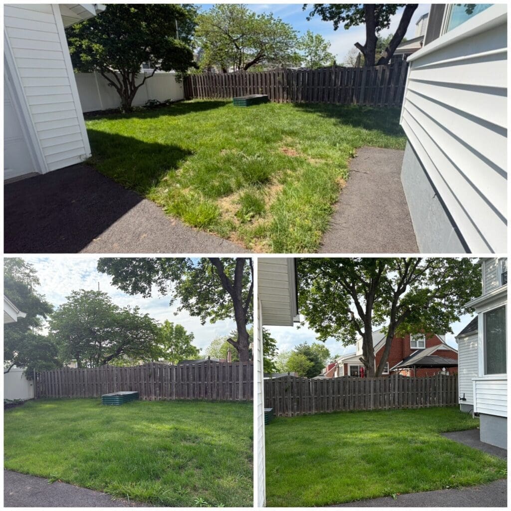 Lawn Microbes