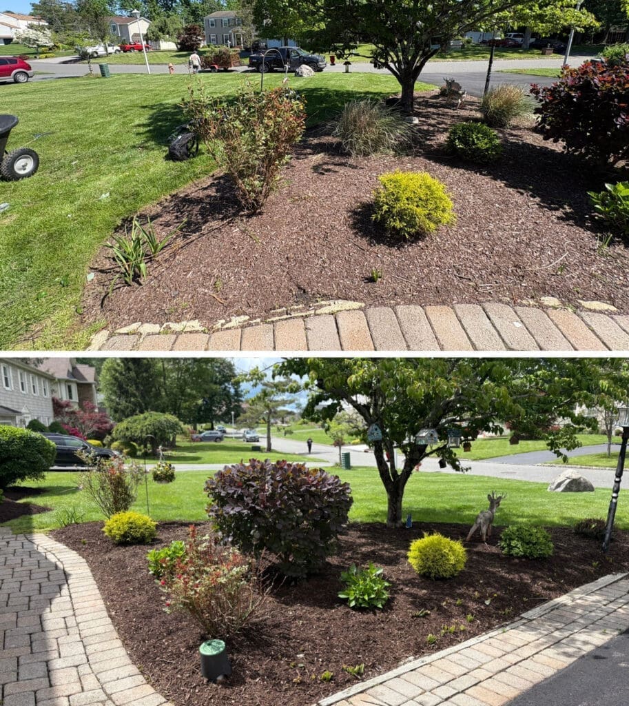 Organic Lawn Products