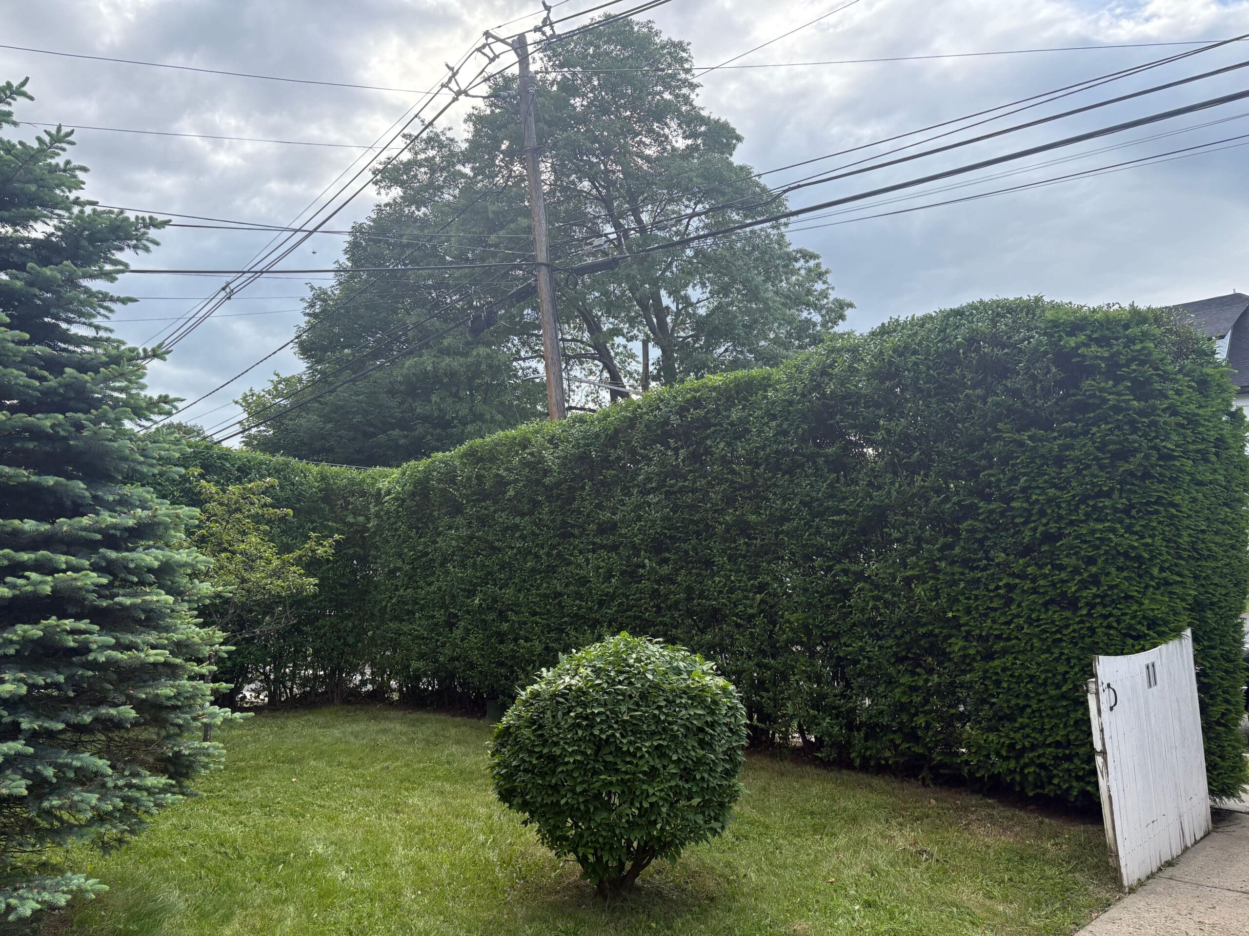 Great Yards in New Jersey