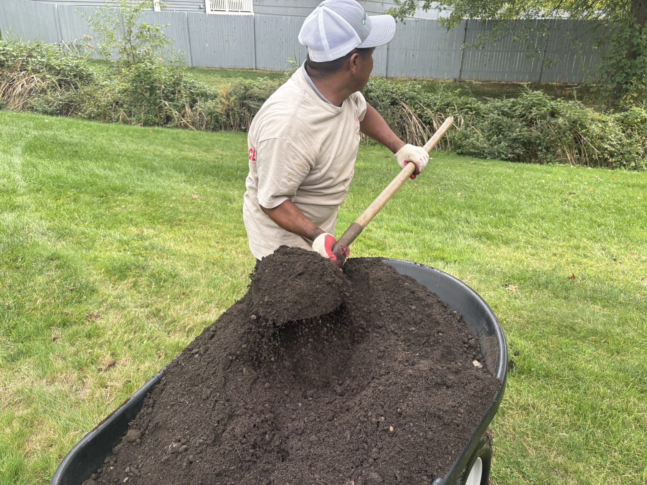 When to fertilize lawn